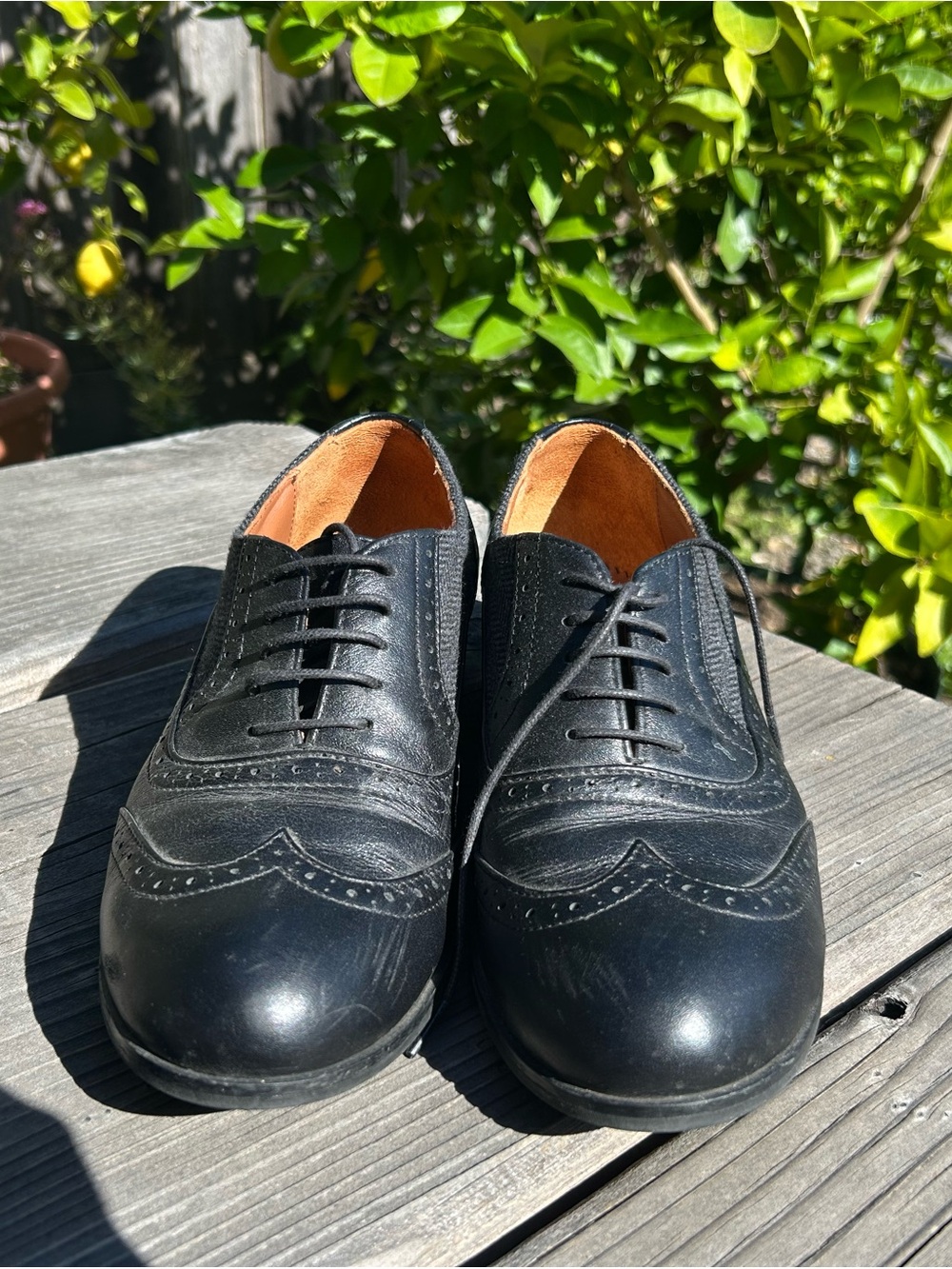 Julia Bo Women’s Black Leather Wingtip Oxfords